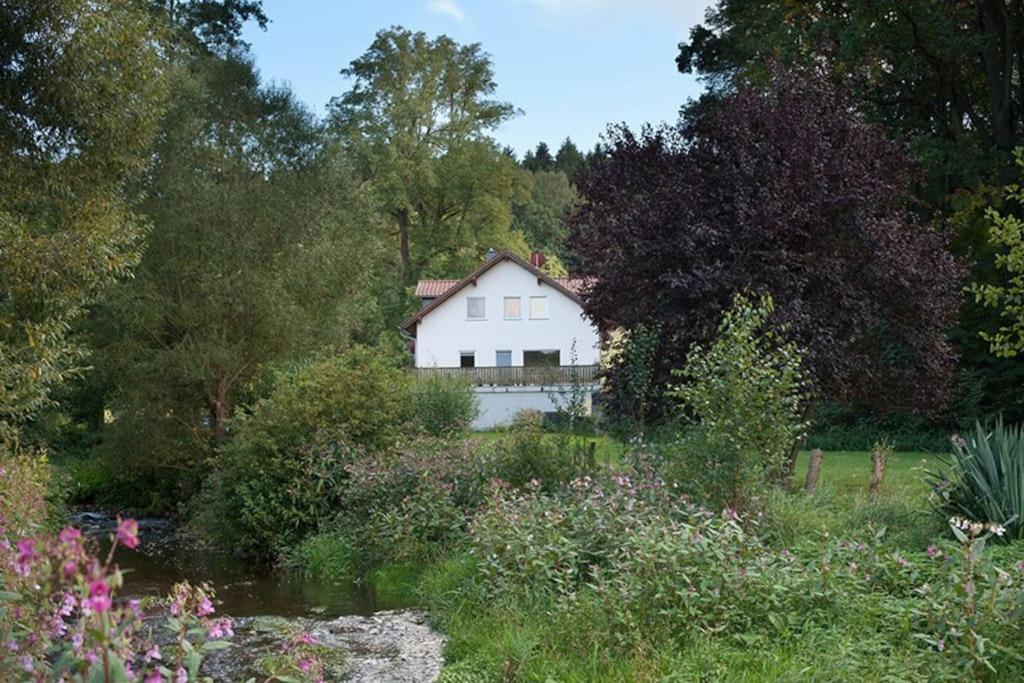 Wald-Apartment Limabach - Oberfrohna Extérieur photo