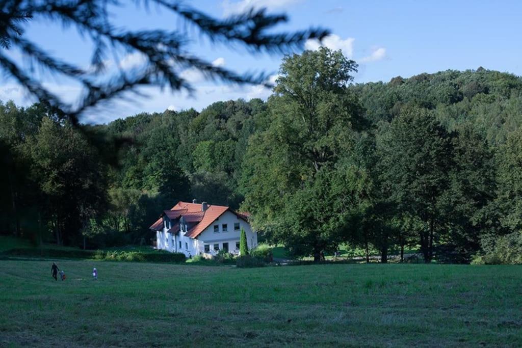 Wald-Apartment Limabach - Oberfrohna Extérieur photo