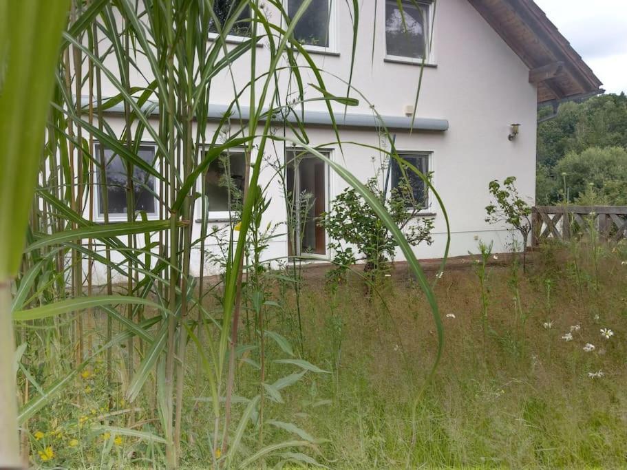 Wald-Apartment Limabach - Oberfrohna Extérieur photo
