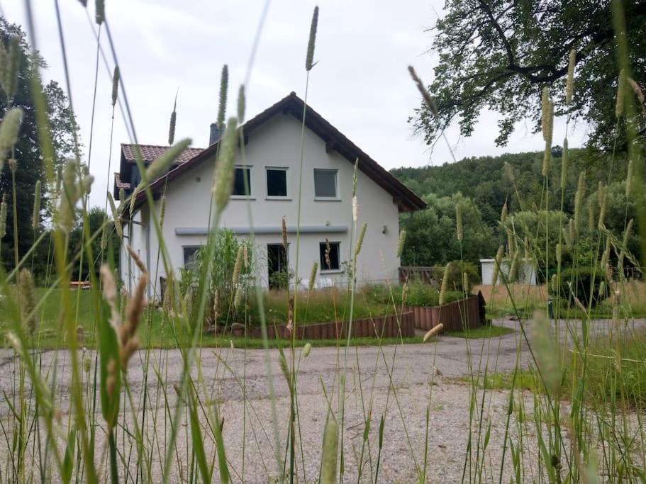 Wald-Apartment Limabach - Oberfrohna Extérieur photo